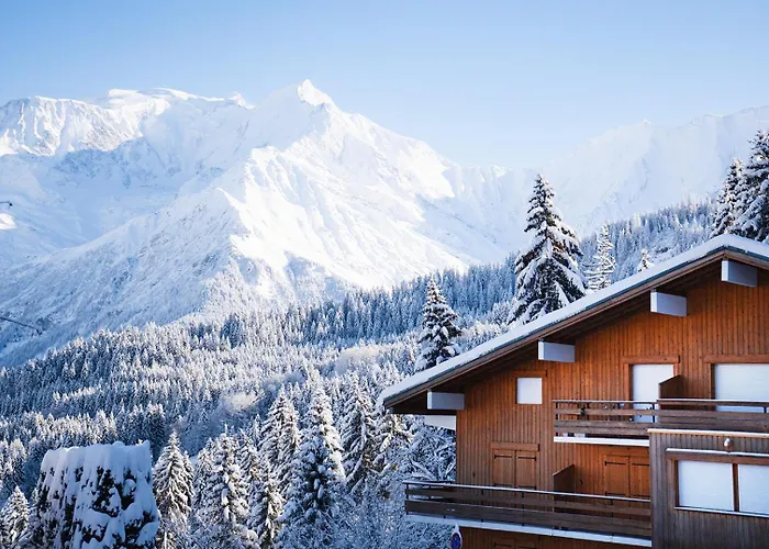 Au Loup Blanc Avec Vue Mont Blanc 公寓